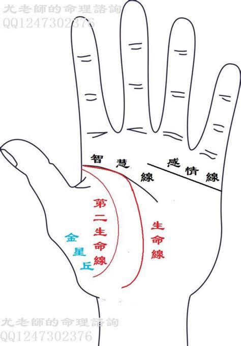 2條生命線|解析手相兩條生命線的含義